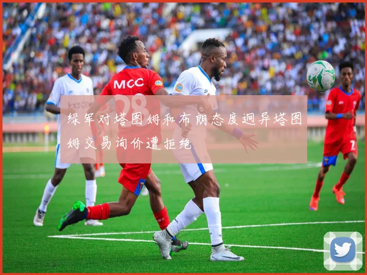 绿军对塔图姆和布朗态度迥异塔图姆交易询价遭拒绝