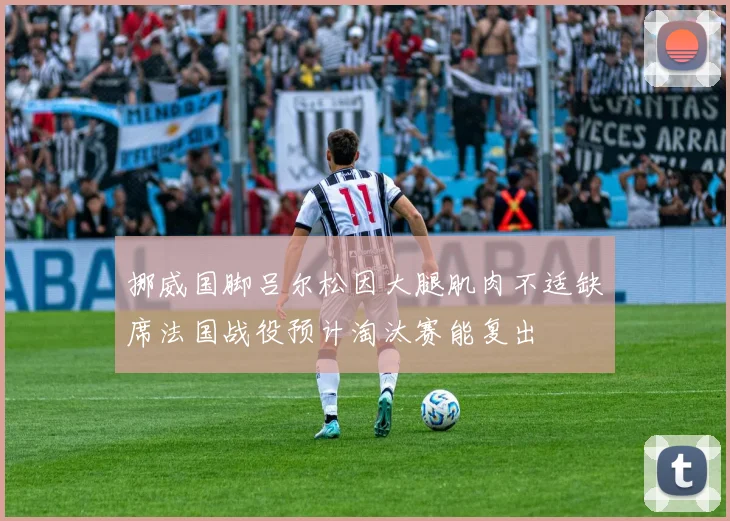 挪威国脚吕尔松因大腿肌肉不适缺席法国战役预计淘汰赛能复出