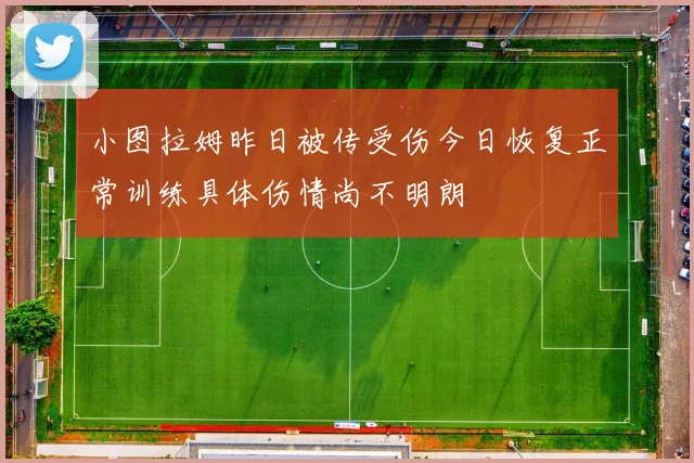 小图拉姆昨日被传受伤今日恢复正常训练具体伤情尚不明朗
