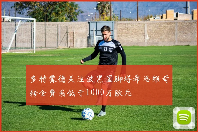 多特蒙德关注波黑国脚塔希洛维奇转会费或低于1000万欧元